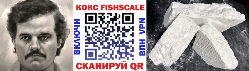 мега как войти  Пошехонье  КОКАИН FishScale 