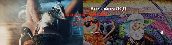 дмт Аркадак
