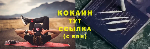 дмт Аркадак