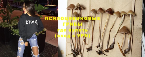 дмт Аркадак